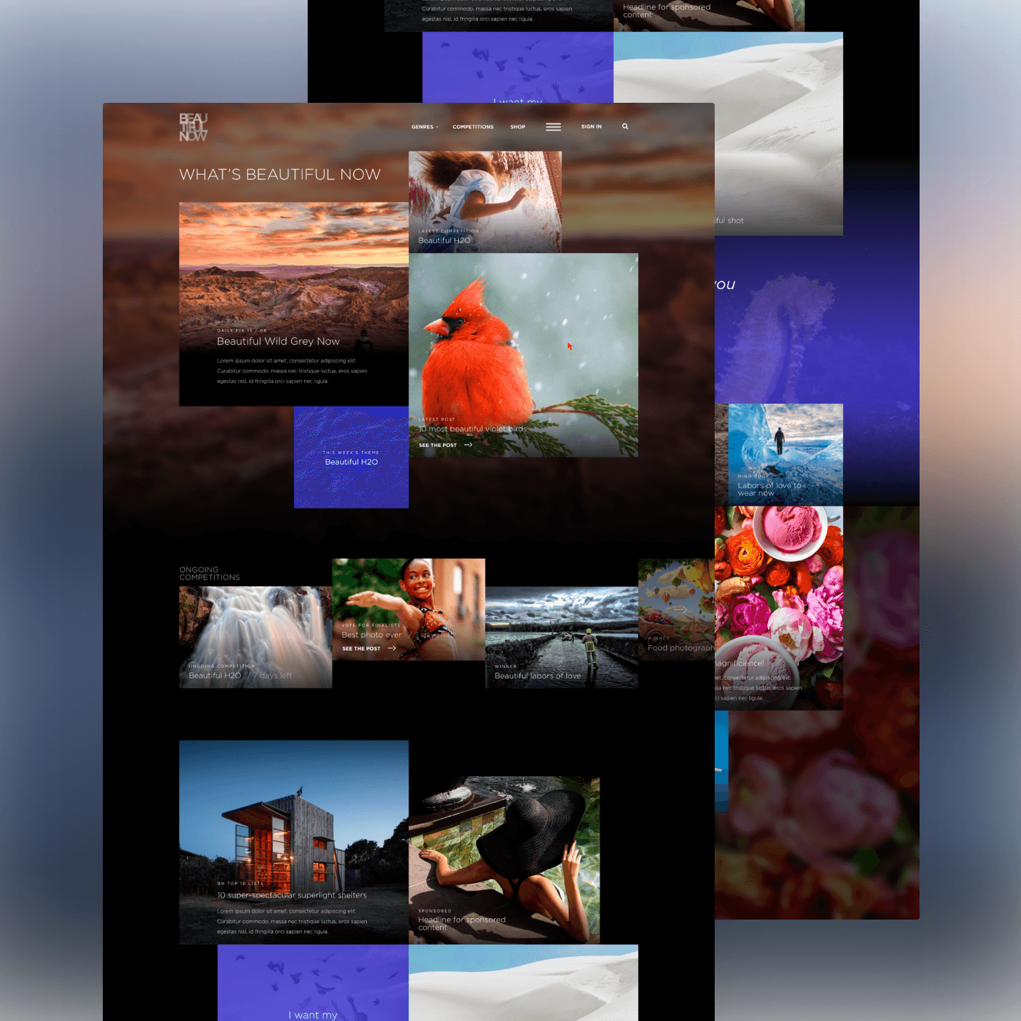 Webdesign Web portal design
