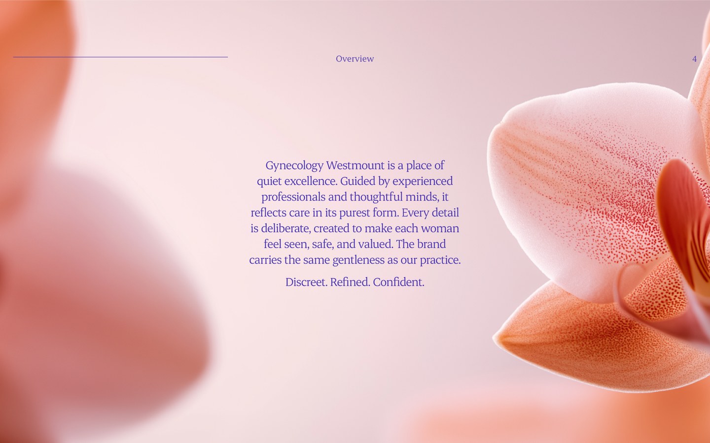 Brändi ülevaade brändiraamatus