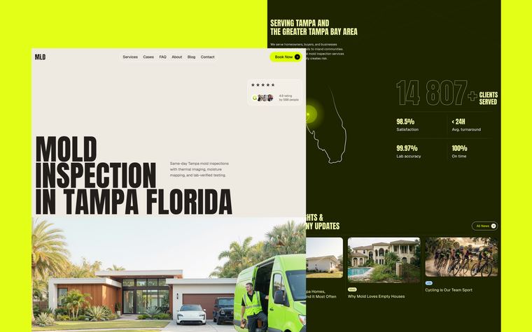 MLD mold inspection Framer template alternate preview
