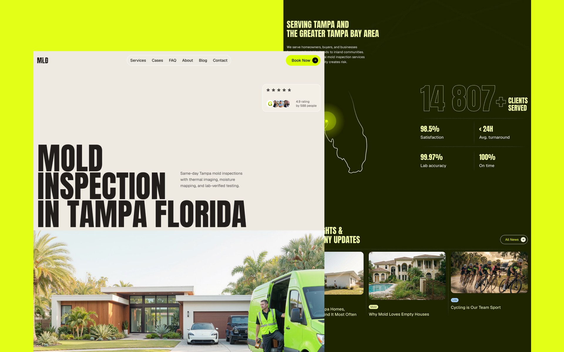 MLD mold inspection Framer template alternate preview