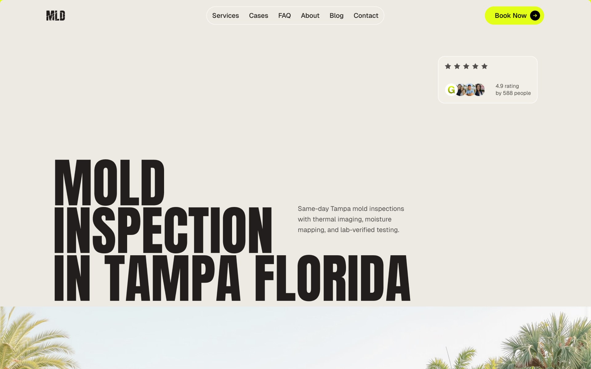 MLD mold inspection Framer template preview