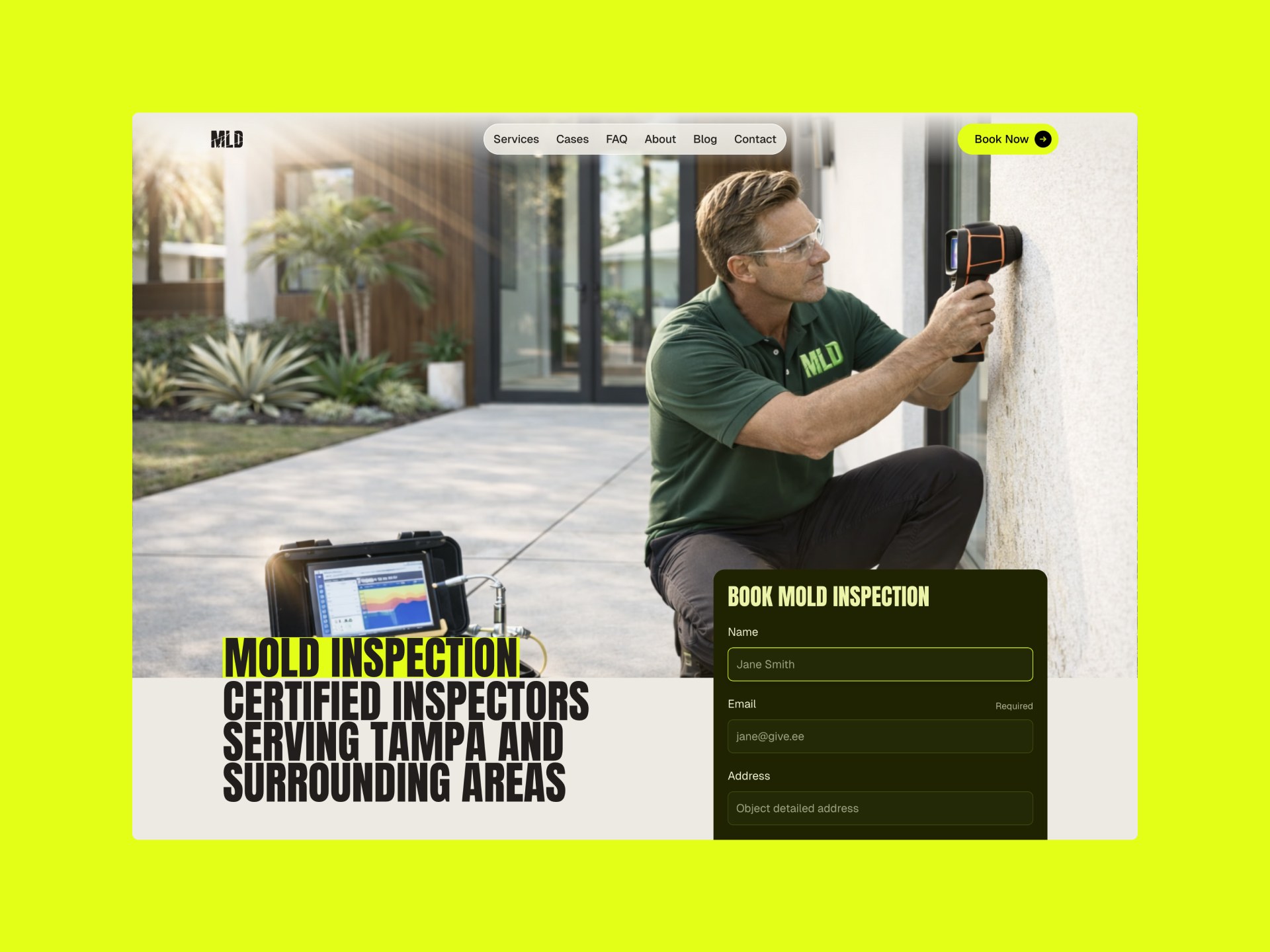 MLD mold inspection Framer template page 3 thumbnail