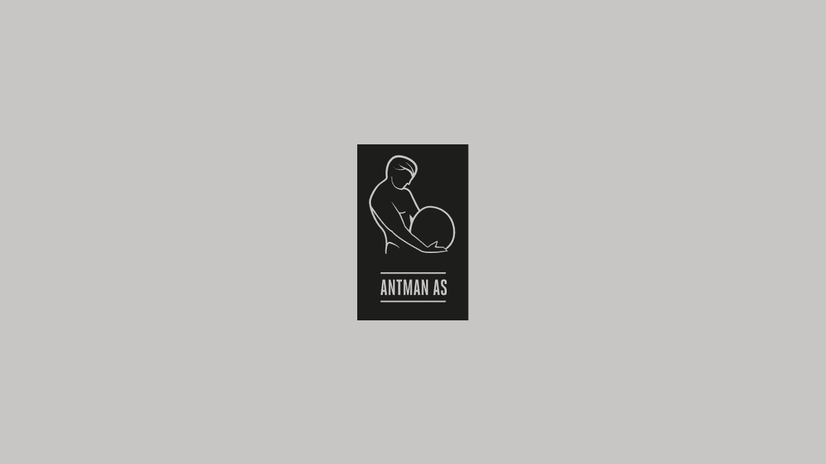 logo design Antman logo design
