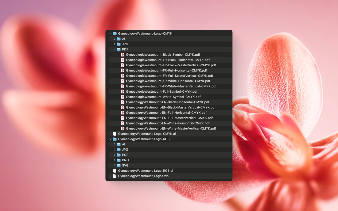 Brändiraamatuga kaasas tulevad logo failid