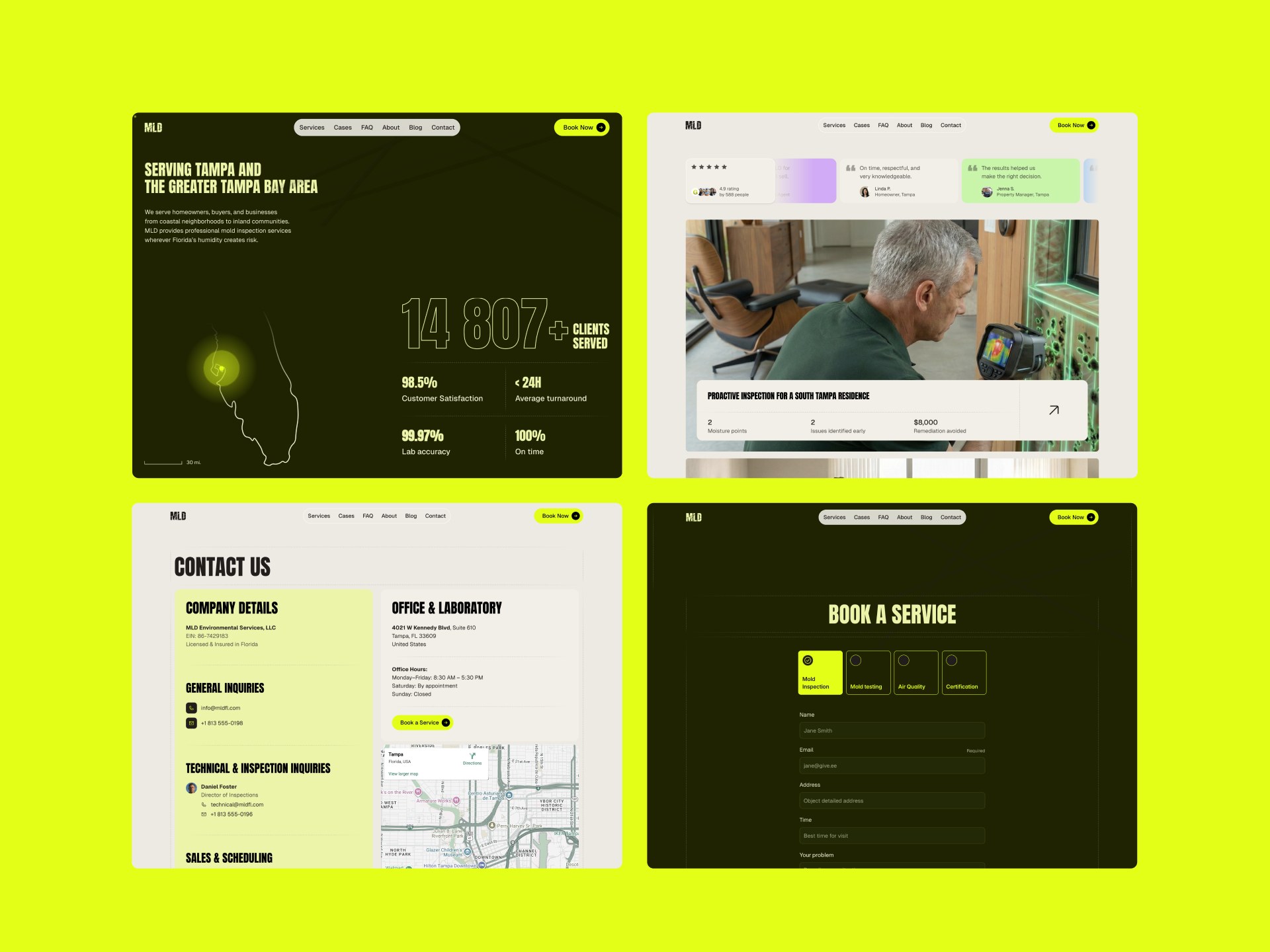 MLD mold inspection Framer template page 4 thumbnail